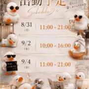 ヒメ日記 2026/08/31 04:31 投稿 るい アラモード