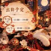 るい 来週の予定 アラモード