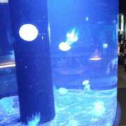 ヒメ日記 2025/10/27 21:57 投稿 りさ 佐久上田人妻隊