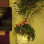 りさ お礼❤❤ 佐久上田人妻隊