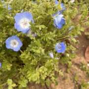 ヒメ日記 2025/04/28 13:52 投稿 みかん プロフィール天王寺