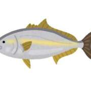 ヒメ日記 2025/09/04 19:01 投稿 長門　りか プルプル京都性感エステ　はんなり