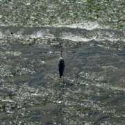 ヒメ日記 2025/09/12 10:27 投稿 長門　りか プルプル京都性感エステ　はんなり