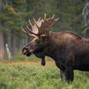 ヒメ日記 2025/10/05 17:25 投稿 長門　りか プルプル京都性感エステ　はんなり