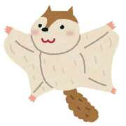 ヒメ日記 2025/10/09 12:05 投稿 長門　りか プルプル京都性感エステ　はんなり