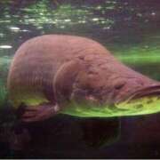 ヒメ日記 2025/10/10 15:01 投稿 長門　りか プルプル京都性感エステ　はんなり