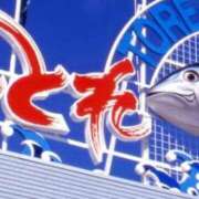 ヒメ日記 2025/10/31 14:48 投稿 長門　りか プルプル京都性感エステ　はんなり