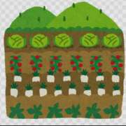 ヒメ日記 2025/11/20 18:01 投稿 長門　りか プルプル京都性感エステ　はんなり