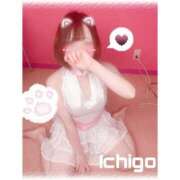 ヒメ日記 2025/05/12 04:15 投稿 いちご 子猫カフェ 小倉店