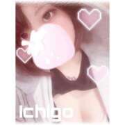 ヒメ日記 2025/05/12 20:44 投稿 いちご 子猫カフェ 小倉店