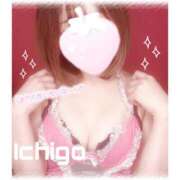 ヒメ日記 2025/05/14 17:17 投稿 いちご 子猫カフェ 小倉店