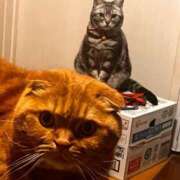 ヒメ日記 2025/04/07 11:39 投稿 又木 鶯谷デッドボール