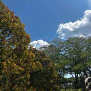 ヒメ日記 2025/04/29 21:03 投稿 又木 鶯谷デッドボール