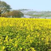 ヒメ日記 2025/05/07 00:49 投稿 又木 鶯谷デッドボール