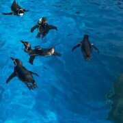 ヒメ日記 2025/05/07 00:59 投稿 又木 鶯谷デッドボール