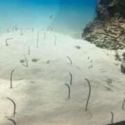 ヒメ日記 2025/05/08 23:23 投稿 又木 鶯谷デッドボール