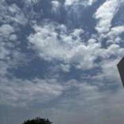 ヒメ日記 2025/05/26 08:42 投稿 又木 鶯谷デッドボール