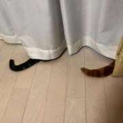 ヒメ日記 2025/06/08 11:19 投稿 又木 鶯谷デッドボール