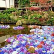 ヒメ日記 2025/06/15 11:14 投稿 又木 鶯谷デッドボール