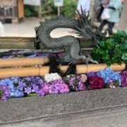 ヒメ日記 2025/06/15 11:29 投稿 又木 鶯谷デッドボール