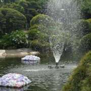 ヒメ日記 2025/06/26 19:19 投稿 又木 鶯谷デッドボール