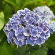 ヒメ日記 2025/06/28 22:59 投稿 又木 鶯谷デッドボール