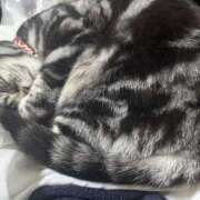 ヒメ日記 2025/06/28 23:19 投稿 又木 鶯谷デッドボール