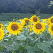 ヒメ日記 2025/07/16 22:39 投稿 又木 鶯谷デッドボール