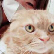 ヒメ日記 2025/08/05 23:06 投稿 又木 鶯谷デッドボール