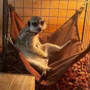 ヒメ日記 2025/08/09 09:39 投稿 又木 鶯谷デッドボール