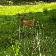 ヒメ日記 2025/08/11 10:49 投稿 又木 鶯谷デッドボール