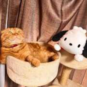 ヒメ日記 2025/08/17 22:36 投稿 又木 鶯谷デッドボール