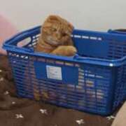 ヒメ日記 2025/08/18 22:39 投稿 又木 鶯谷デッドボール