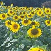 ヒメ日記 2025/08/19 22:09 投稿 又木 鶯谷デッドボール