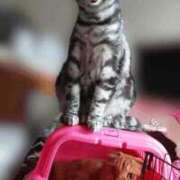 ヒメ日記 2025/08/22 22:32 投稿 又木 鶯谷デッドボール