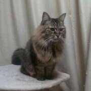 ヒメ日記 2025/08/22 22:59 投稿 又木 鶯谷デッドボール