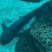 ヒメ日記 2025/08/30 21:50 投稿 又木 鶯谷デッドボール