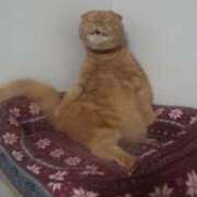 ヒメ日記 2025/09/11 22:29 投稿 又木 鶯谷デッドボール