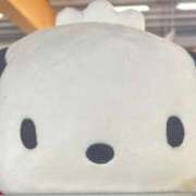 ヒメ日記 2025/09/14 22:31 投稿 又木 鶯谷デッドボール