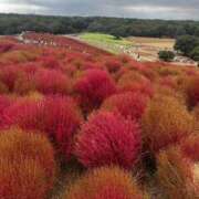 ヒメ日記 2025/09/26 23:03 投稿 又木 鶯谷デッドボール