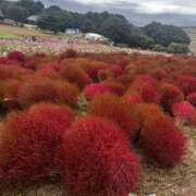 ヒメ日記 2025/09/28 21:34 投稿 又木 鶯谷デッドボール