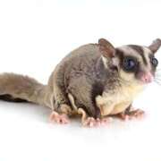 ヒメ日記 2025/10/11 21:14 投稿 又木 鶯谷デッドボール