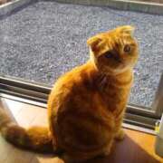 ヒメ日記 2025/10/16 22:55 投稿 又木 鶯谷デッドボール