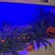 ヒメ日記 2025/10/16 23:00 投稿 又木 鶯谷デッドボール