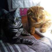 ヒメ日記 2025/10/20 21:59 投稿 又木 鶯谷デッドボール