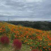 ヒメ日記 2025/10/21 23:19 投稿 又木 鶯谷デッドボール