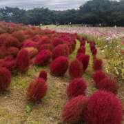 ヒメ日記 2025/10/24 22:06 投稿 又木 鶯谷デッドボール
