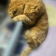 ヒメ日記 2025/10/24 22:29 投稿 又木 鶯谷デッドボール