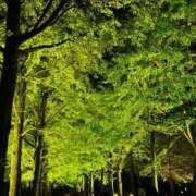 ヒメ日記 2025/10/26 22:24 投稿 又木 鶯谷デッドボール