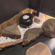 ヒメ日記 2025/10/27 22:09 投稿 又木 鶯谷デッドボール